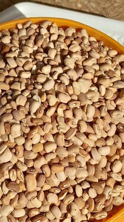 African Sun Brown beans 5kg